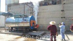 10吨低氮冷凝锅炉