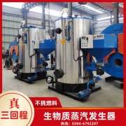 WNS6-1.25-QY天然气蒸汽锅炉云顶在线登入