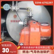 WNS0.3-0.7-QY低氮蒸汽锅炉云顶在线登入