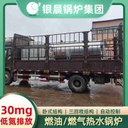 10吨低氮冷凝蒸汽锅炉太康银晨锅炉