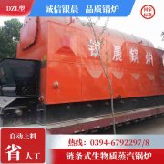 0.7吨节能蒸汽锅炉云顶在线登入