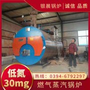 燃气锅炉示意图