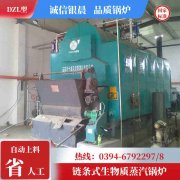 燃气大型锅炉