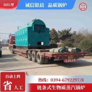 屠宰场蒸汽锅炉