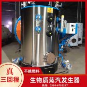 新型生物质锅炉