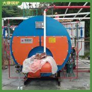 蒸汽锅炉蒸酒设备WNS0.2品质生产厂家