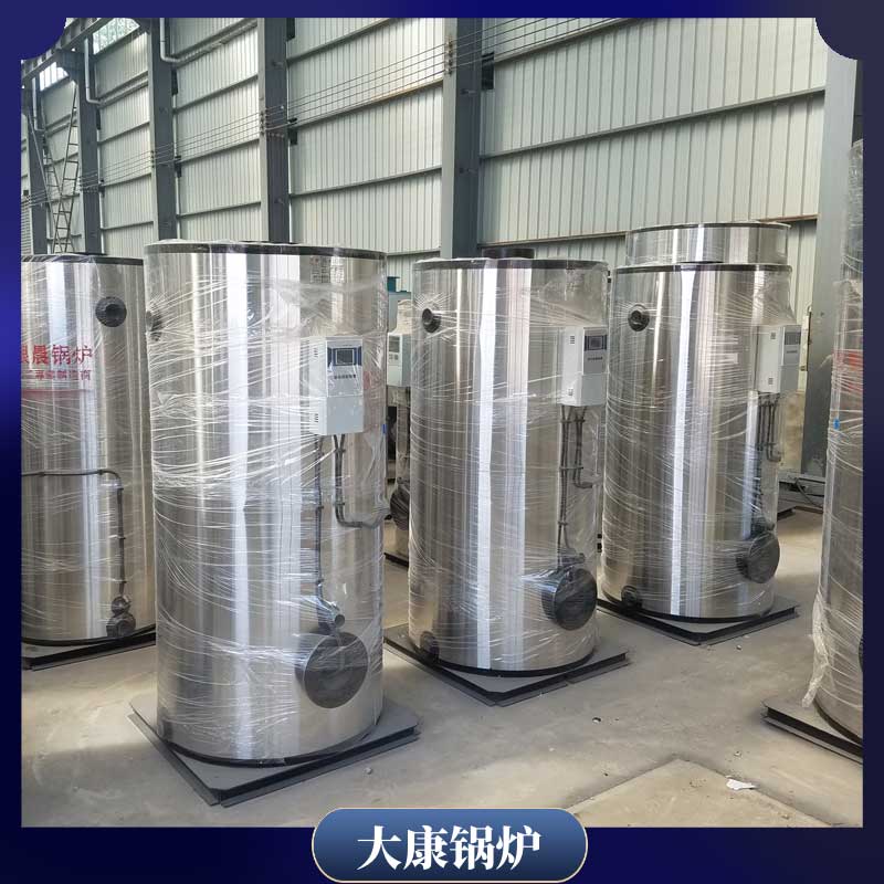烧生物质的的锅炉