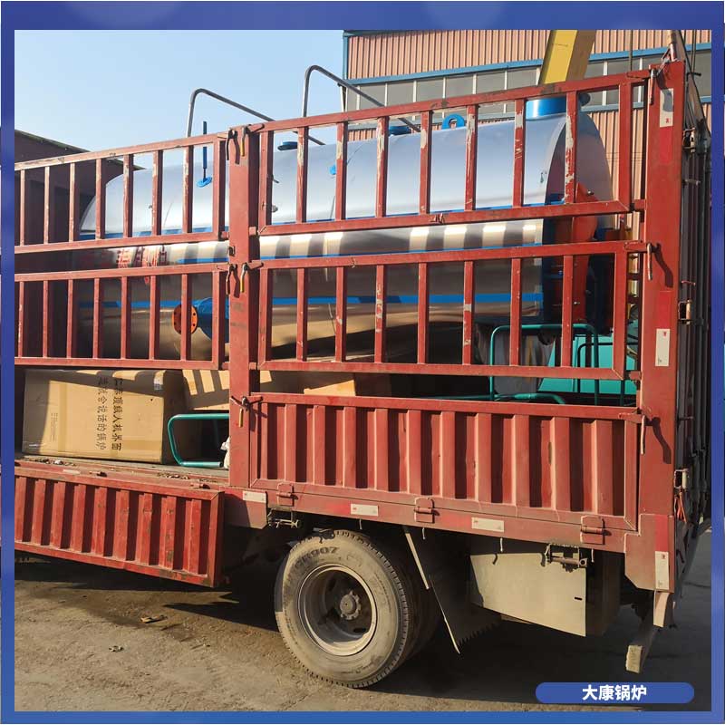 燃生物质蒸汽锅炉